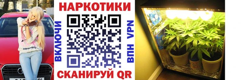 МАРИХУАНА Гаврилов-Ям