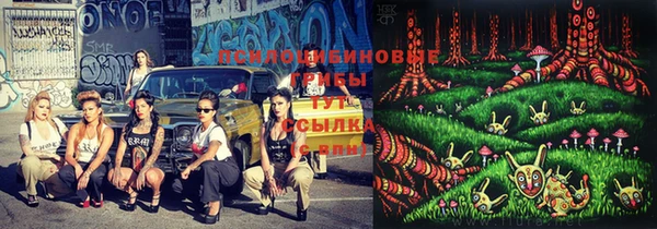 ешки Костерёво