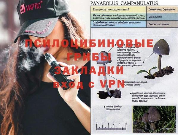 ГАЛЛЮЦИНОГЕННЫЕ ГРИБЫ Краснотурьинск