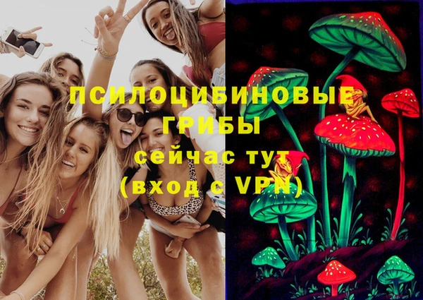 ешки Костерёво